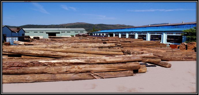 The Logs Yard