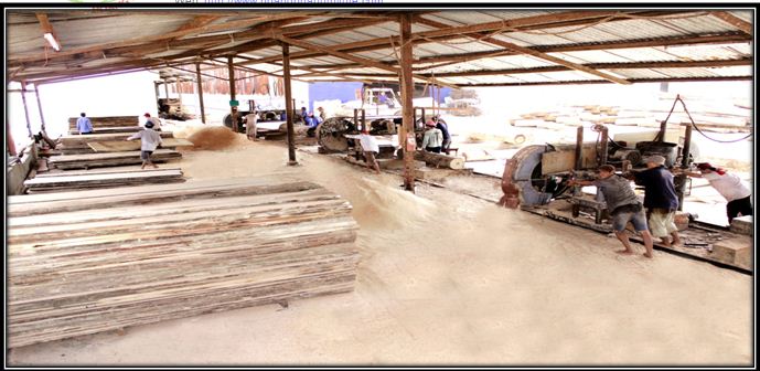 The Sawing Area